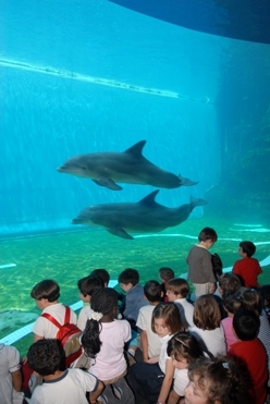 delfini e bambini all'Acquario di Genova