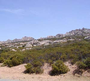 caprera - PARCO NAZIONALE DELLARCIPELAGO DI LA MADDALENA